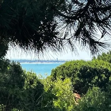 Altamira-pyla Sur * Pyla-sur-Mer