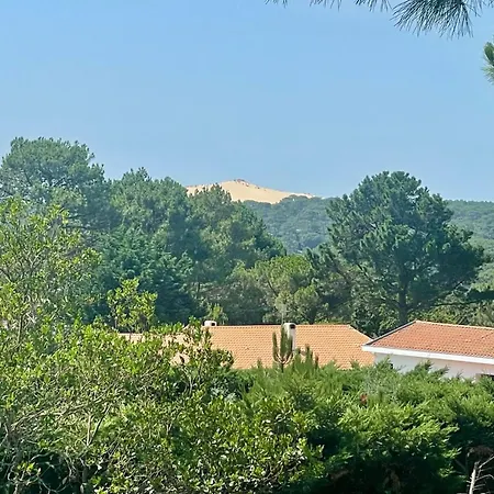 Altamira-pyla Sur *